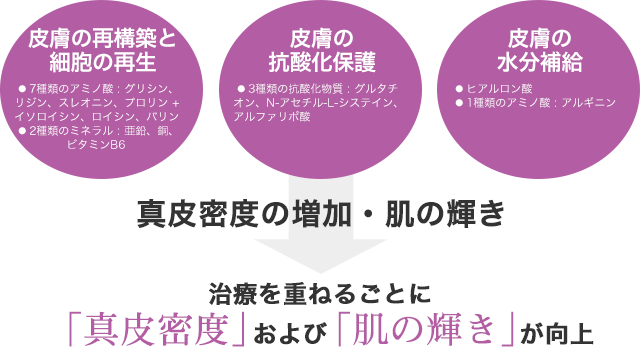 皮膚の再構築と細胞の再生+皮膚の抗酸化保護+皮膚の水分補給→真皮密度の増加・肌の輝き→治療を重ねるごとに「真皮密度」および「肌の輝き」が向上 皮膚の再構築と細胞の再生+皮膚の抗酸化保護+皮膚の水分補給→真皮密度の増加・肌の輝き→治療を重ねるごとに「真皮密度」および「肌の輝き」が向上