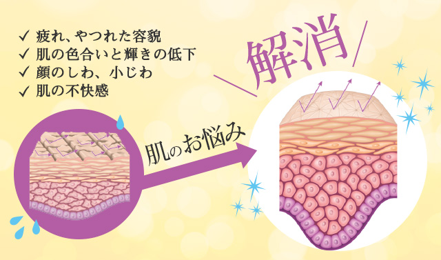 疲れ・やつれた容貌、肌の色合いと輝きの低下、顔のしわ、小じわ、肌の不快感、肌のお悩みを解消します! 疲れ・やつれた容貌、肌の色合いと輝きの低下、顔のしわ、小じわ、肌の不快感、肌のお悩みを解消します!